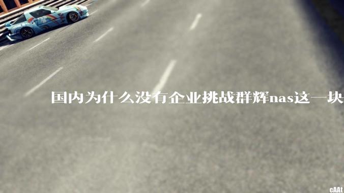 国内为什么没有企业挑战群辉nas这一块市场？